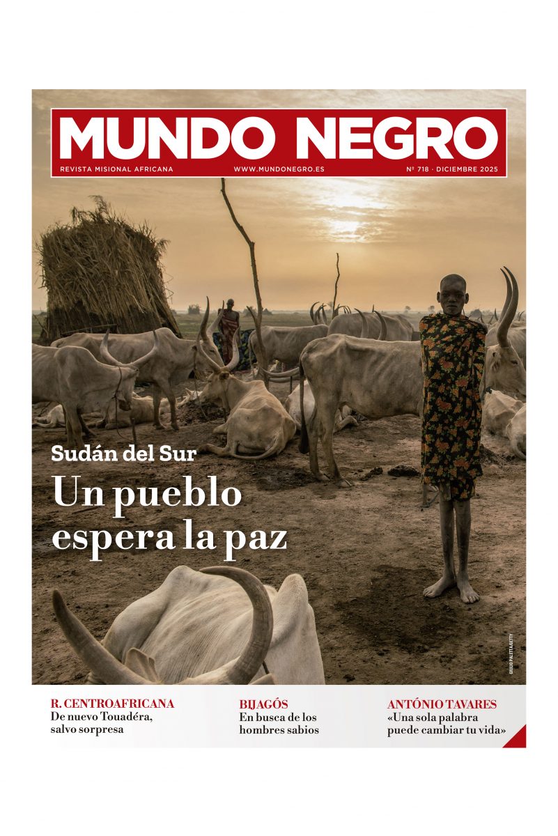 MN diciembre 2025 Portada web